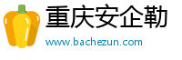 重庆安企勒